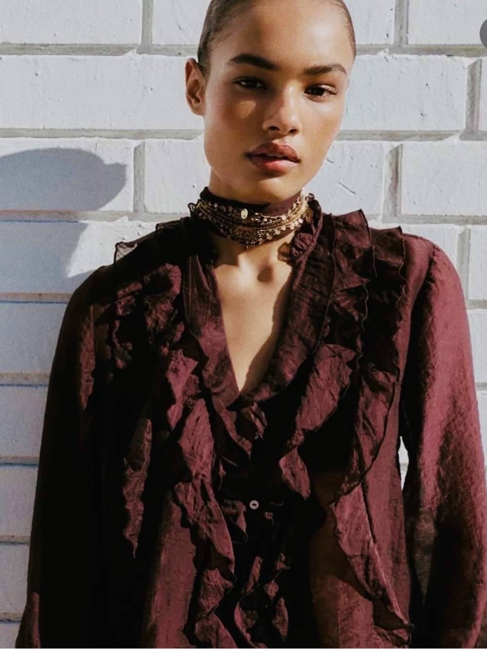 Zara brown sheer blouse, M